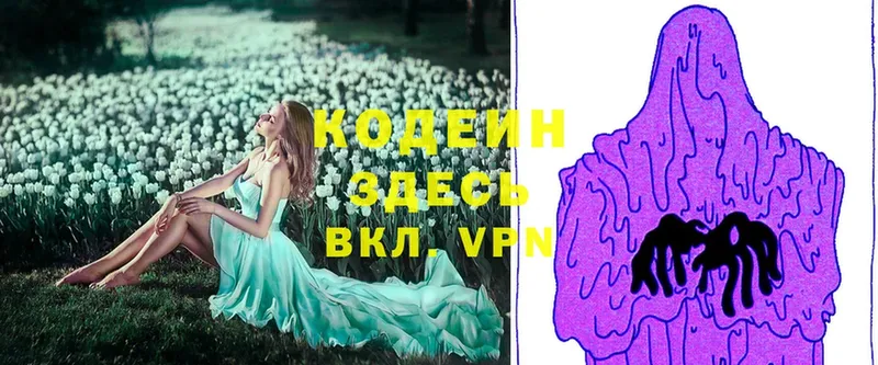 Кодеиновый сироп Lean Purple Drank  Касли 