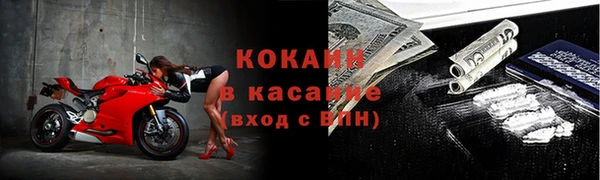 молекула духа Михайлов