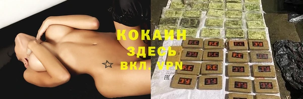 сатива Михайловка