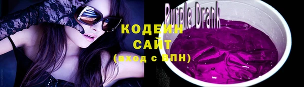 молекула духа Михайлов