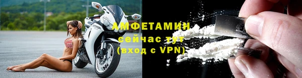 молекула духа Михайлов