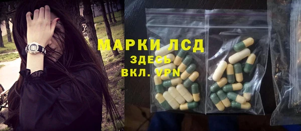 сатива Михайловка