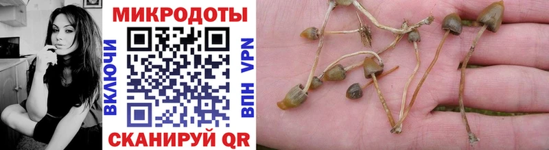 Галлюциногенные грибы MAGIC MUSHROOMS как найти закладки Касли