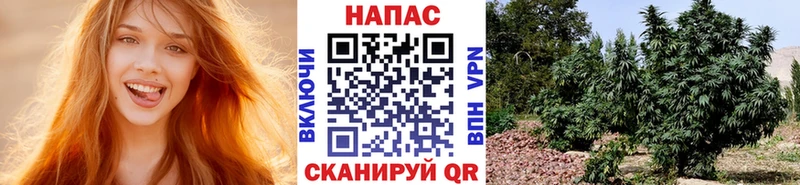 купить наркотик  Касли  Конопля Bruce Banner 